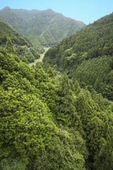 Obraz premium 深山渓谷