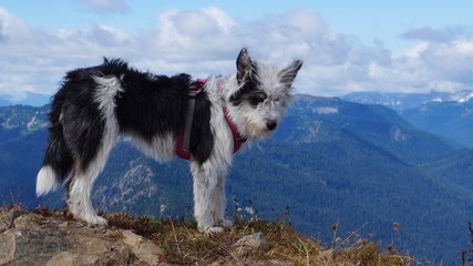 Hiking in North Central Washington, the Cascade Mountains
