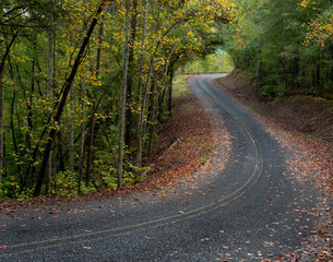 Winding Road