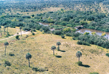 Antiguas fotos de palmares - Colon