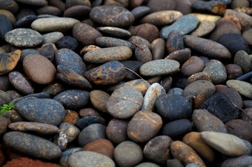 Many kind of rock on the floor.