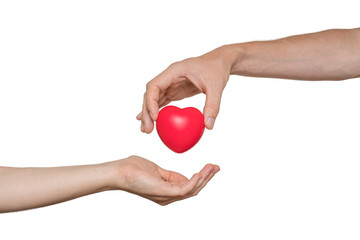 Heart transplant and organ donation concept. Hand is giving red heart. Isolated on white background.