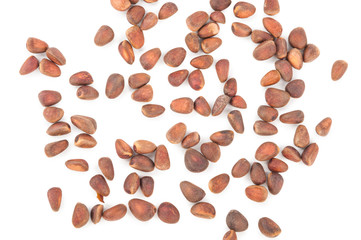 Cedar pine nuts