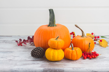pile of orange pumpkins harvest with fall leaves on white wooden table