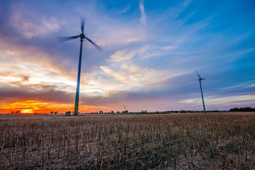 Obraz premium Beautiful sunset behind the windmills on the field