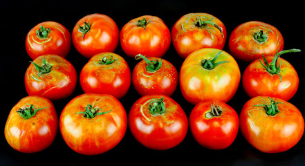 fresh farm picked tomatoes isolated on black background