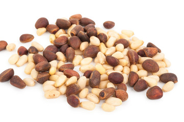 Cedar pine nuts