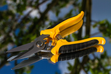 new garden scissors