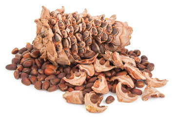 Cedar cone