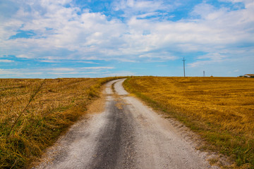 beautiful field and road