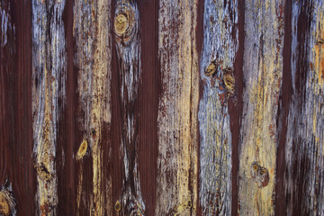 Obraz premium wood texture for a background