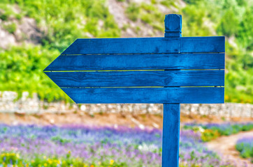 purple flowers on meadow with a sign