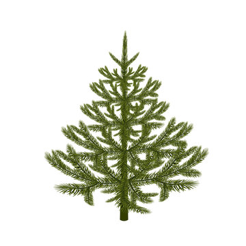 Symbol of the New Year. Picture of a magnificent spruce without a mesh and a gradient. Isolated against white background. illustration