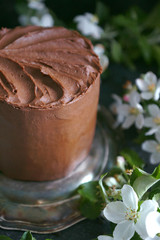 Chocolate cake with apple trees flowers on a dark background, Selective focus, Close-up