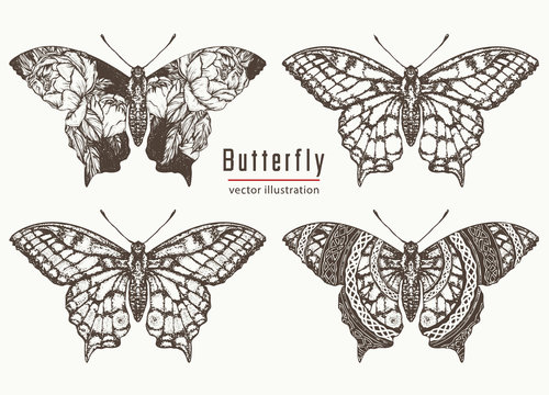 Butterfly Png Butterfly Transparent Background  Painted Lady Butterfly  Png PNG Image  Transparent PNG Free Download on SeekPNG
