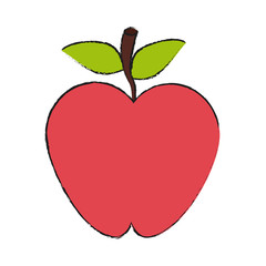 colorful apple doodle over white background vector illustration