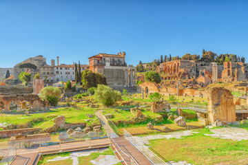 Fototapeta na wymiar Archaeological and historical objects in Rome, united by the name - Roman Forum. Italy.