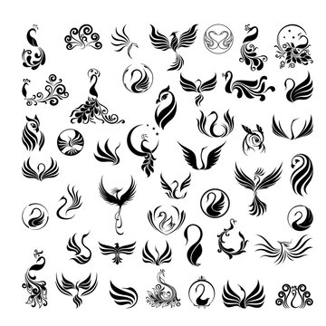 Eagle bird tattoo design Royalty Free Vector Image