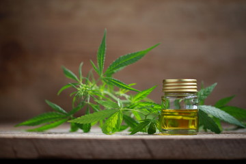 A cannabis leaf and a bottle of hemp oil on a wooden table
