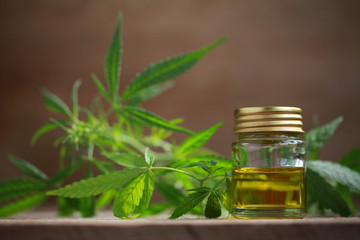 A cannabis leaf and a bottle of hemp oil on a wooden table