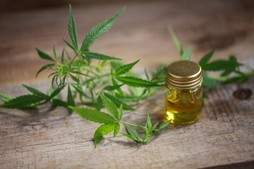 A cannabis leaf and a bottle of hemp oil on a wooden table