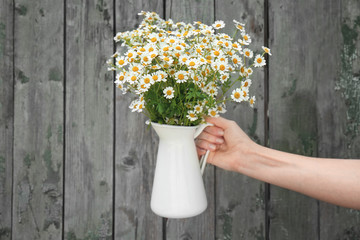 Woman's hand holding jug with beautiful chamomiles against wooden background