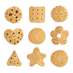 Set of realistic, different cookies. Vector illustration