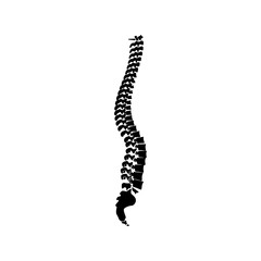 Spine black color icon .
