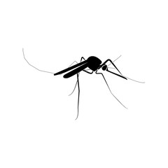 Mosquito black color icon .