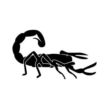 Scorpion black color icon .