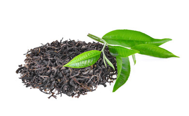 pile of dried green tea with fresh green tea leaves isolated on white background