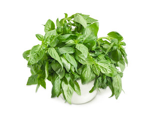 Obraz premium Bunch of the green basil in a white mug
