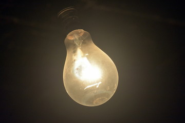 bulb in the night