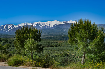 View of the mountain