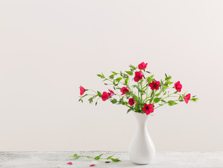 summer flowers in white vase