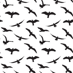Seagull Silhouettes seamless pattern Silhouettes