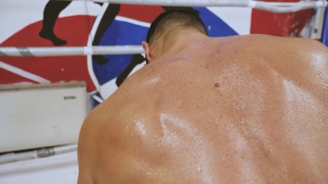 Back view of sweaty muscular male athlete lifting heavy barbell weight inside boxing ring.