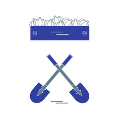 Cute vector illustration of harvest: two shovels and box of garlic.