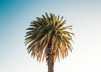 Summer vibes on a winters day