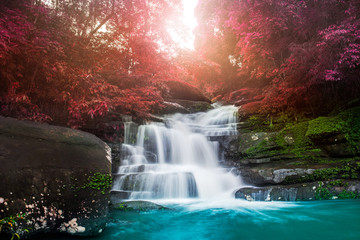 Amazing beautiful waterfall in autumn forest