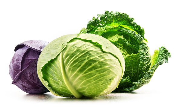 Three fresh organic cabbage heads isolated on white