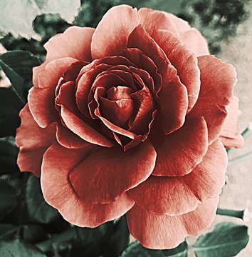 Blumenkunst