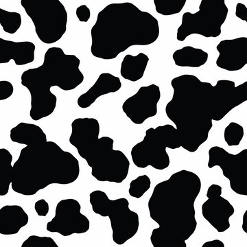 52+ Thousand Cow Print Royalty-Free Images, Stock Photos