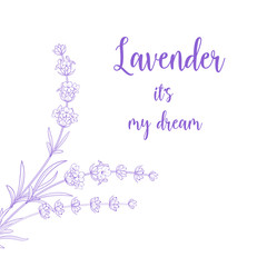 Beauty lavender skin care design. Card with text Lavender its my dream. Regenerate cream and Vitamin Background of Concept Skin Care Cosmetic. Vector illustration.
