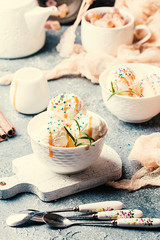 Homemade Organic Vanilla Ice Cream with Mint
