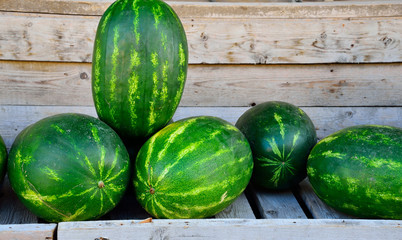 Watermelon on wooden background.