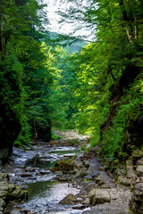 Naklejka premium Photo of mountain river flowing through the green forest