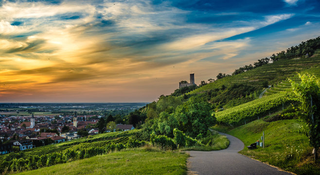 Sonnenuntergang in Weinbergen mit Burgruine