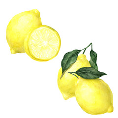 Watercolor hand drawn lemons with leaves set isolated on white