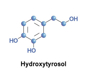 Hydroxytyrosol is a phenylethanoid